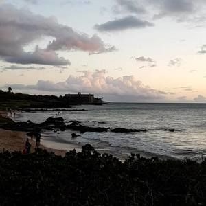 Meet your Posher, Timothy